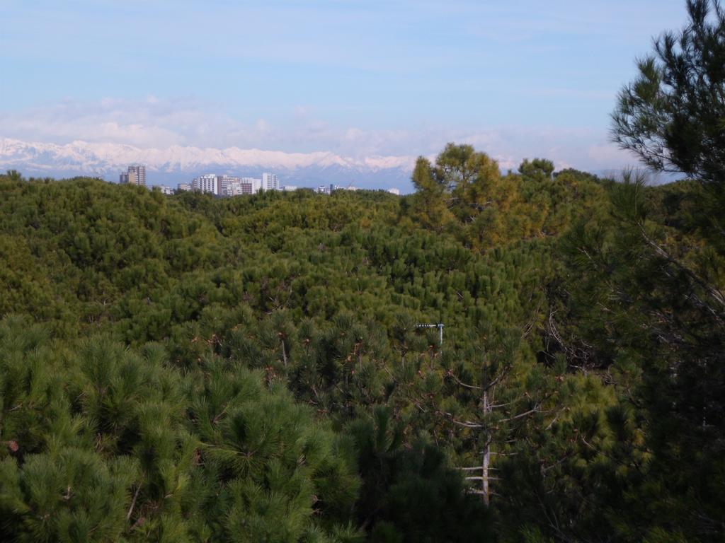 Residence Gardenia لينانو سابيادورو المظهر الخارجي الصورة